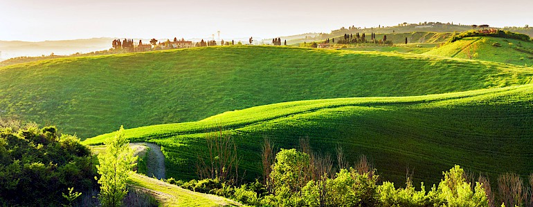 photo © Smallredgirl / dreamstime . com